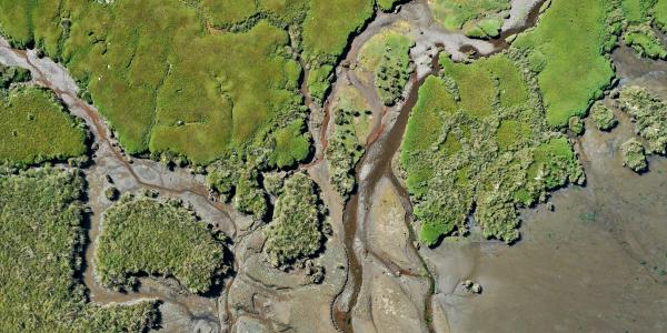 Migrer un GeoServer v2.16 vers v3.0 dockerisé : pourquoi et comment procéder version par version