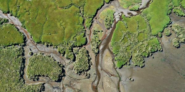 Migrer un GeoServer v2.16 vers v3.0 dockerisé : pourquoi et comment procéder version par version