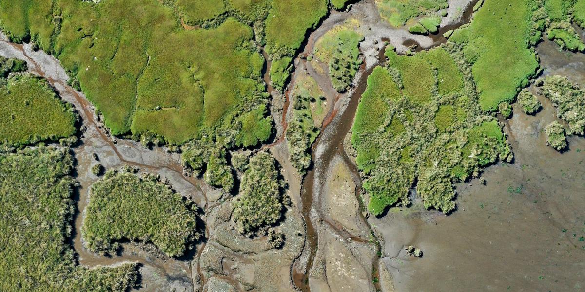 Migrer un GeoServer v2.16 vers v3.0 dockerisé : pourquoi et comment procéder version par version